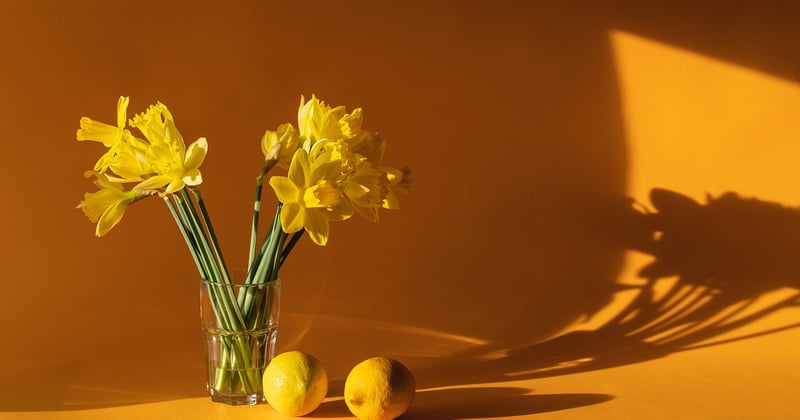 Objets connectés pour la maison intelligente : le guide ultime
